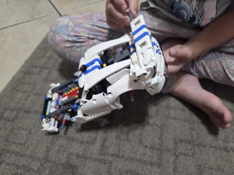 Technic 42234