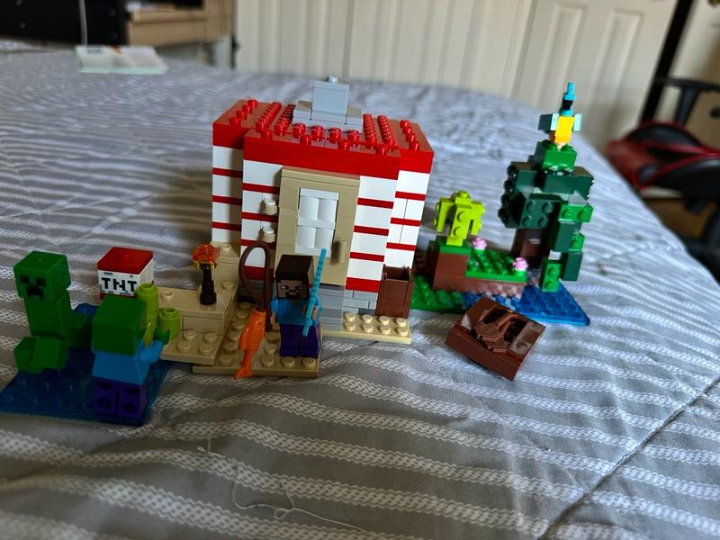 Minecraft 21275