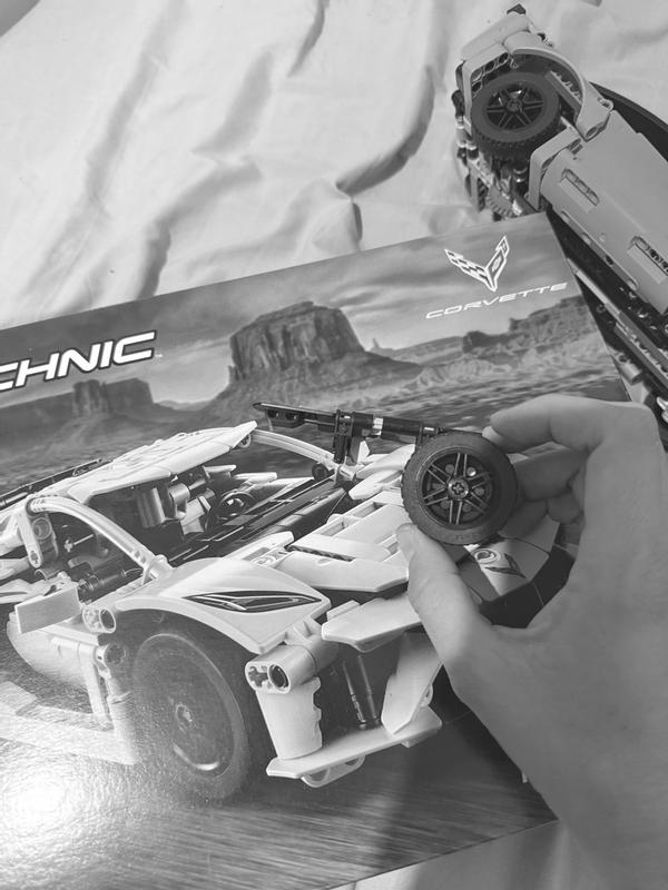Technic 42205
