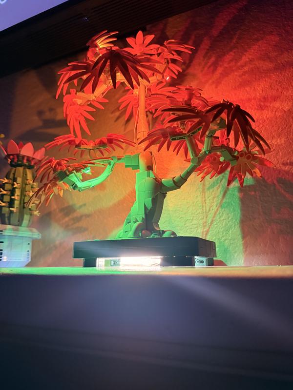 Коллекционные наборы 10348