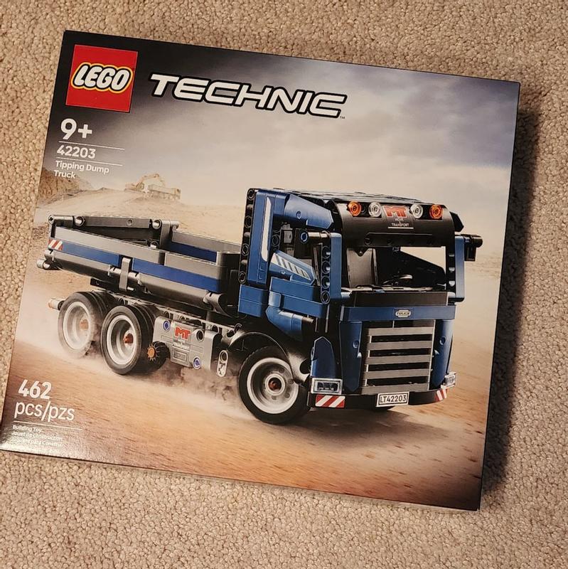 Technic 42203