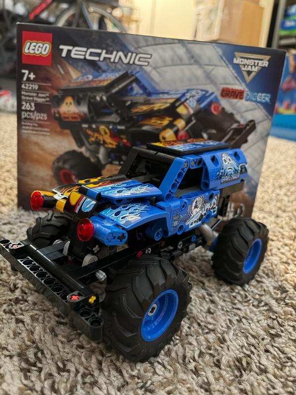 Technic 42219