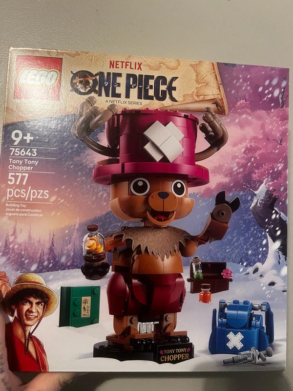 One Piece 75643