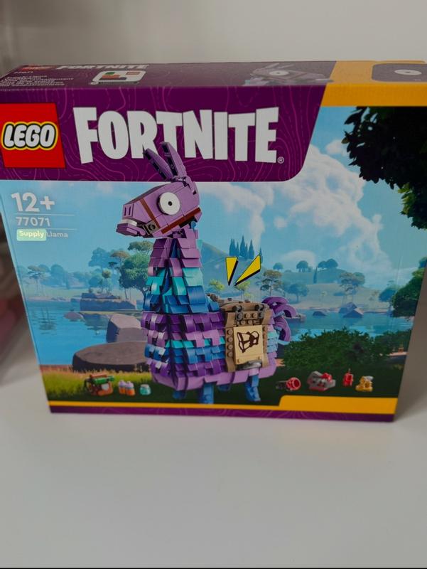 Fortnite 77071