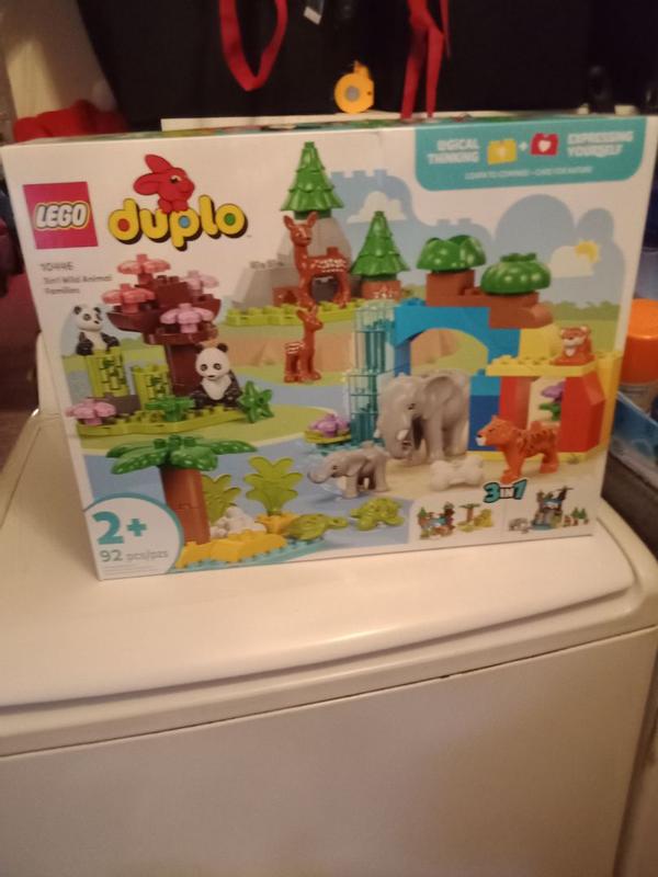 DUPLO® 10446
