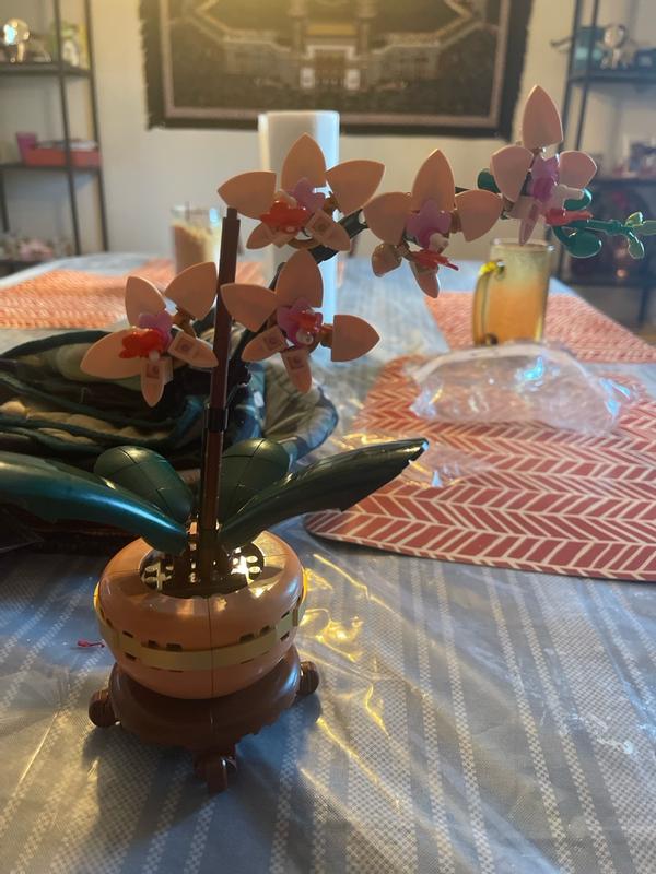 Коллекционные наборы 10343