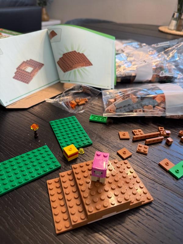 Minecraft 21596