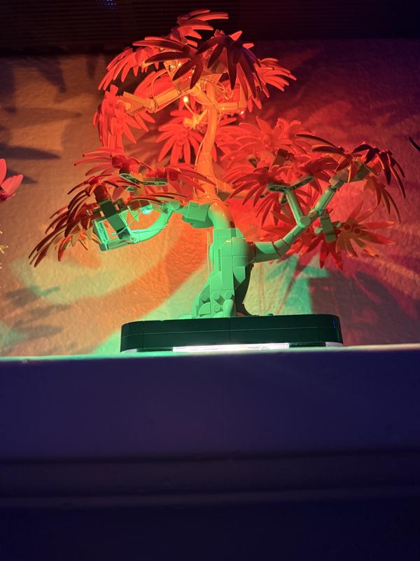 Коллекционные наборы 10348