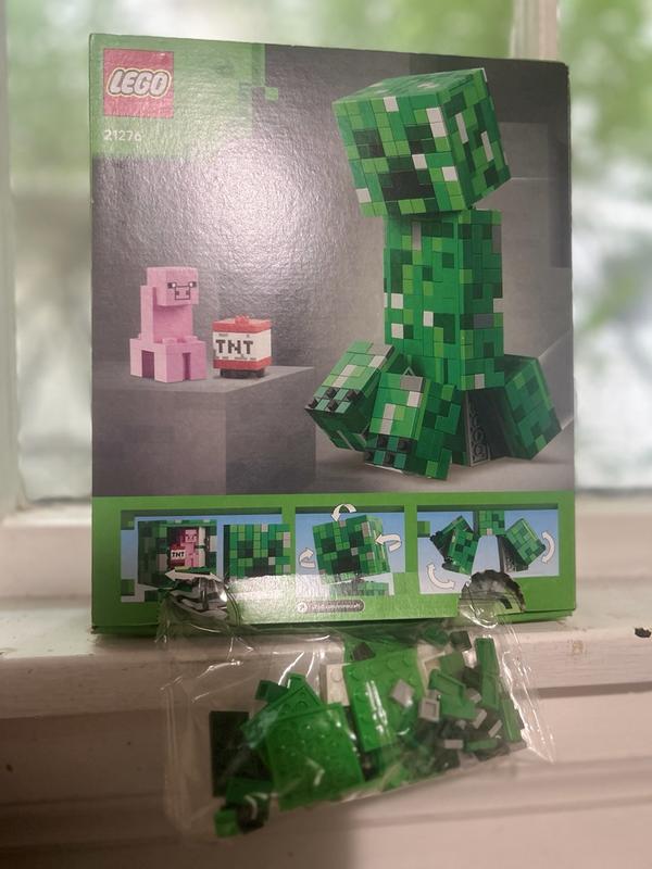 Minecraft 21276