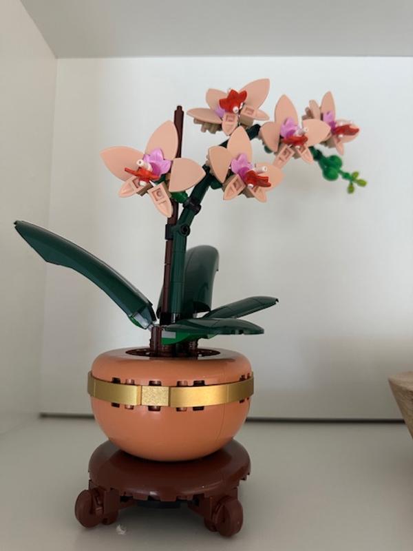 Коллекционные наборы 10343