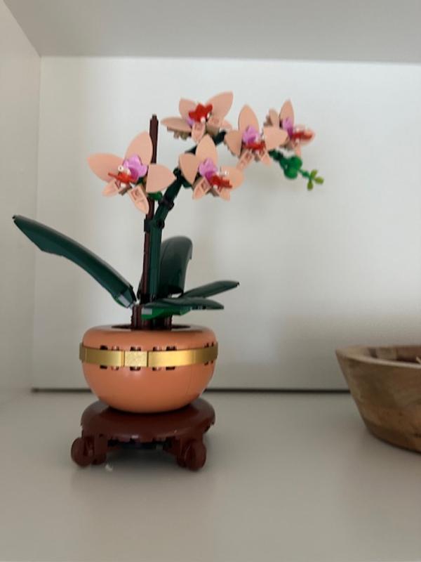 Коллекционные наборы 10343