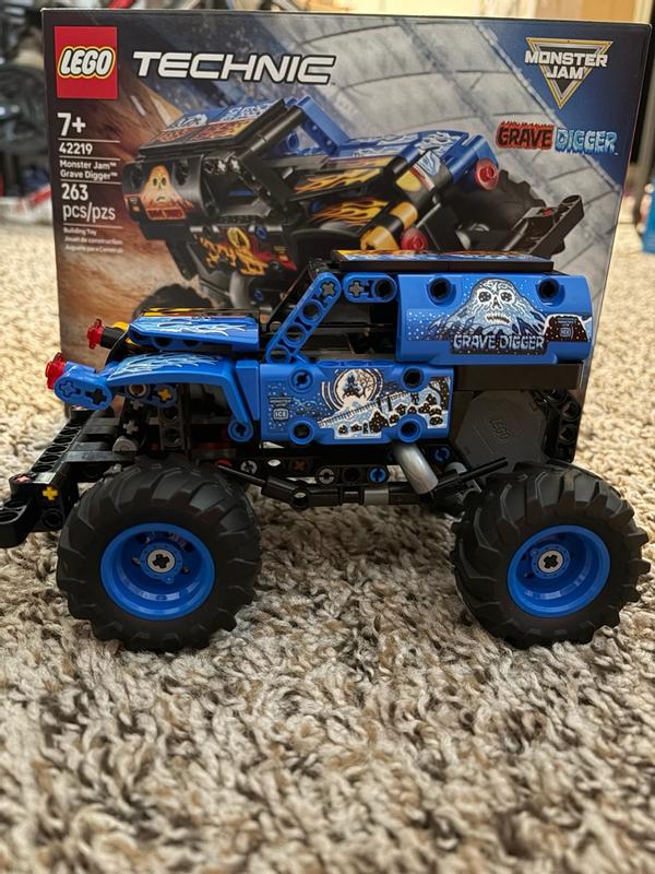 Technic 42219