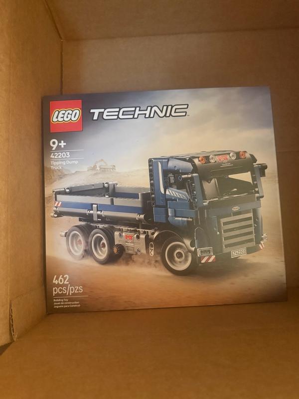 Technic 42203