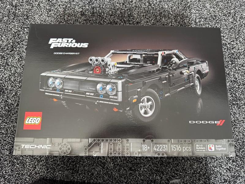 Technic 42231