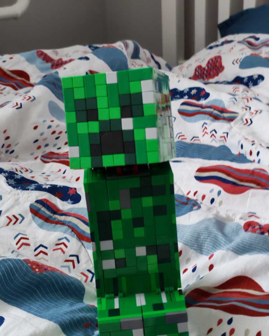 Minecraft 21276