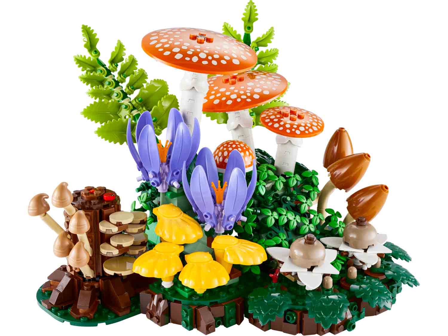 Botanicals 11505