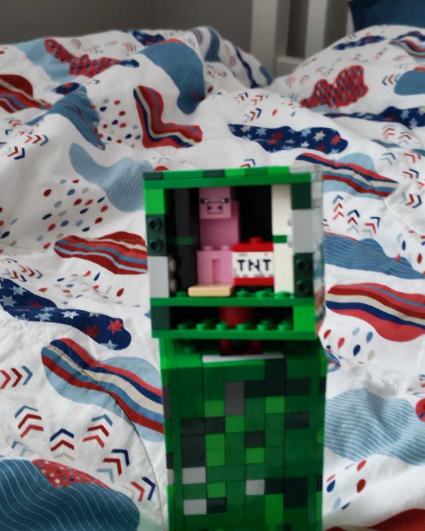 Minecraft 21276