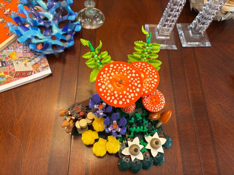 Botanicals 11505