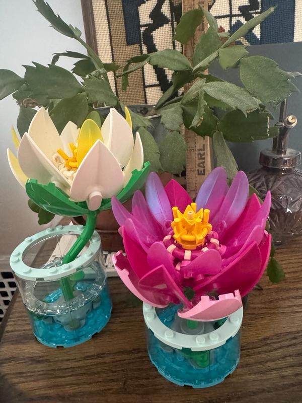 Botanicals 11511