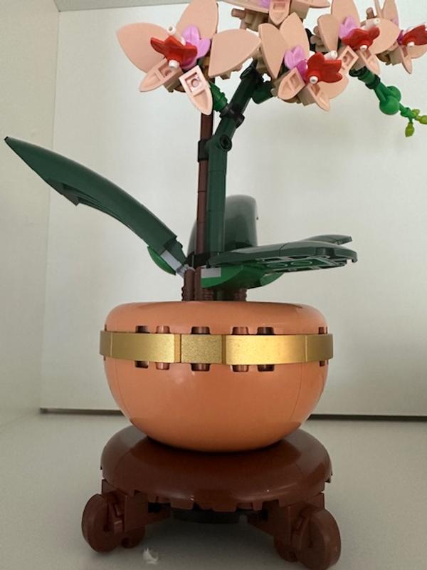 Коллекционные наборы 10343