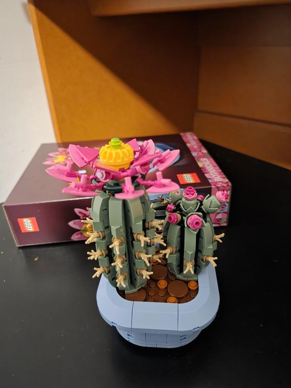 Botanicals 11509