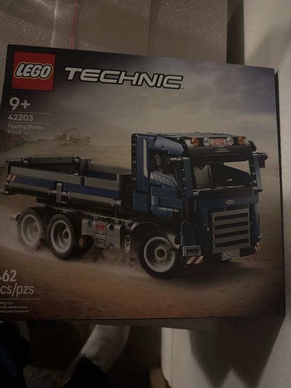 Technic 42203