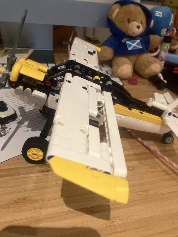 Technic 42198