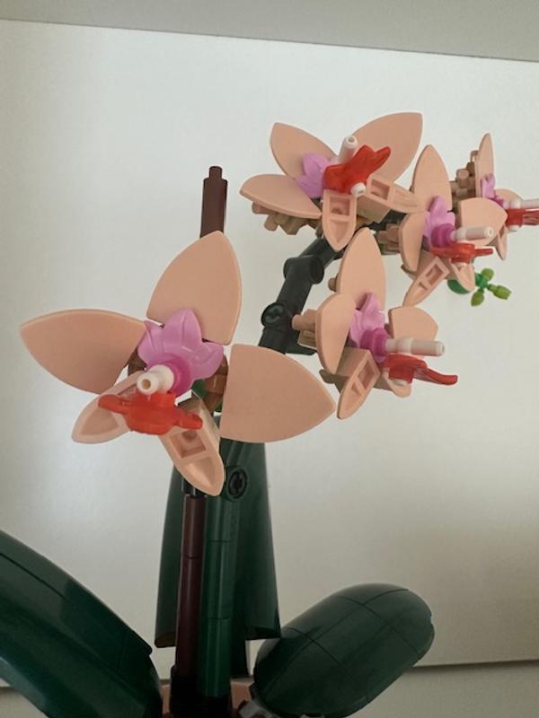 Коллекционные наборы 10343