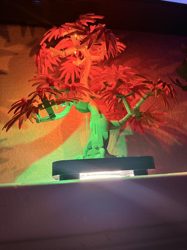 Коллекционные наборы 10348