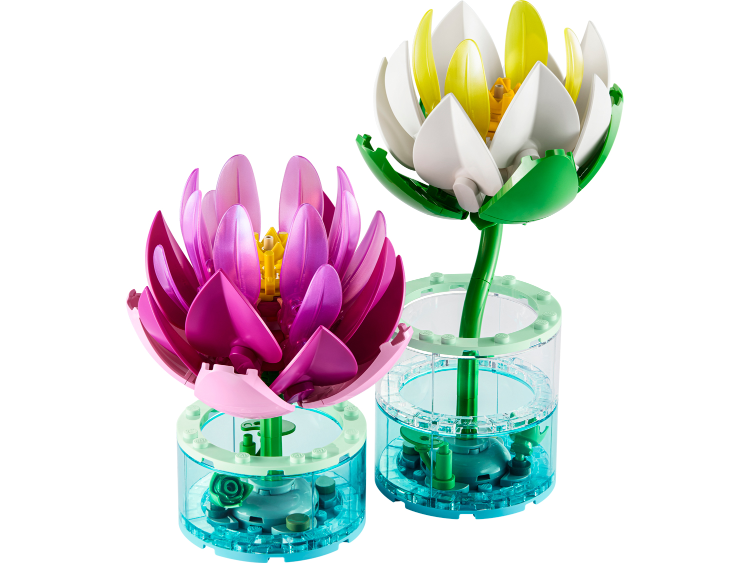 Botanicals 11511