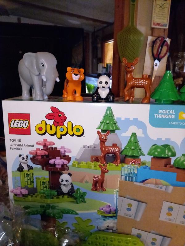 DUPLO® 10446