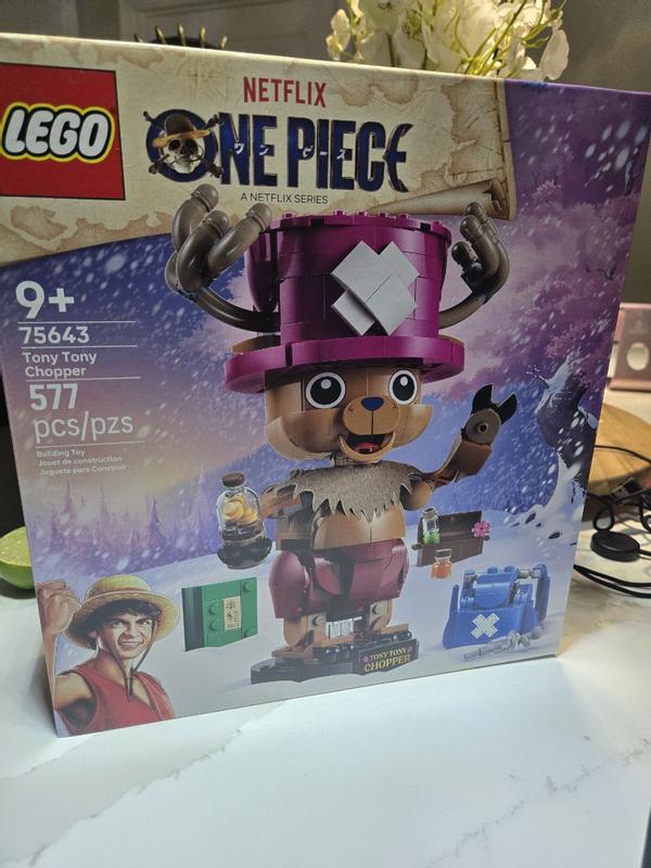 One Piece 75643