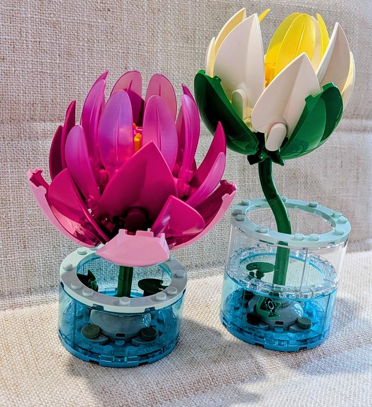 Botanicals 11511