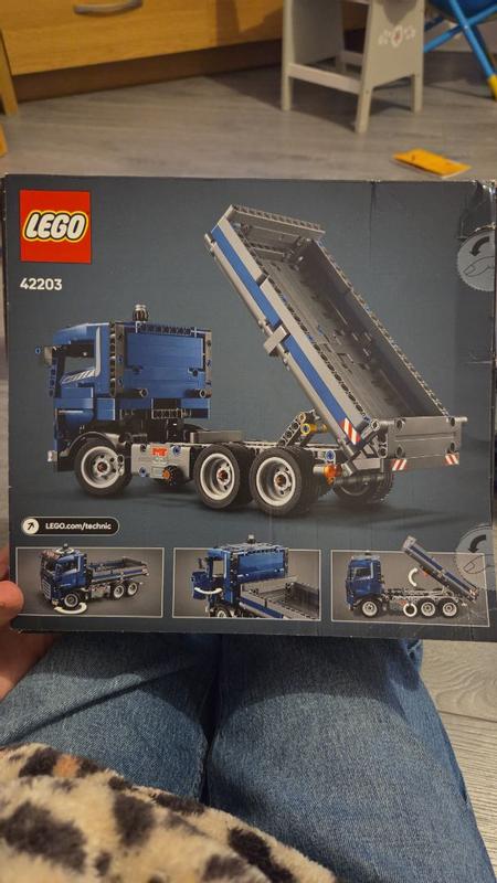 Technic 42203