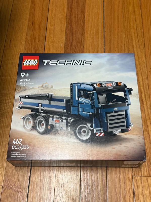 Technic 42203