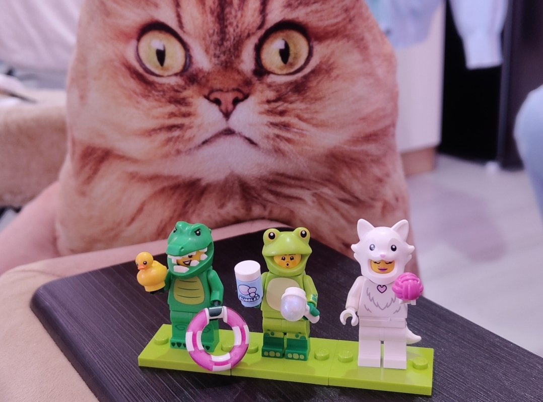 Minifigures 71051