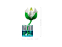 Конструкторы LEGO Botanicals 11511 Водяные лилии, фото 8