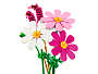 Конструкторы LEGO Botanicals 11514_L Космея, фото 5