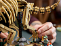 Конструкторы LEGO Jurassic World™ 77985 Окаменелости динозавров: Трицератопс, фото 4