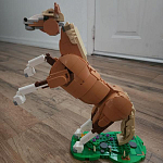 фото от emilyc1d12_6935