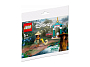 Конструкторы LEGO Уникальные наборы 30558 Приключения Райя и Огни в Центральных краях, фото 2