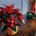 фото от Dcwbys55