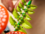 Конструкторы LEGO Botanicals 11505 Лесные грибы, фото 12
