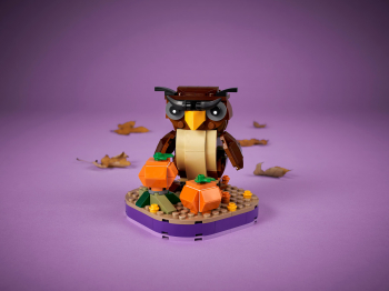 Сувенирный набор Хэллоуинская сова