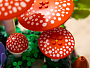 Конструкторы LEGO Botanicals 11505 Лесные грибы, фото 3