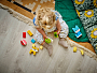 Конструкторы LEGO DUPLO® 10477 Милые питомцы, 3в1, фото 3