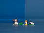 Конструкторы LEGO Classic 11012 Белые кубики, фото 6