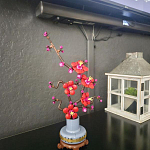 фото от gilmartinr620