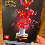 фото от Beatrix Finch