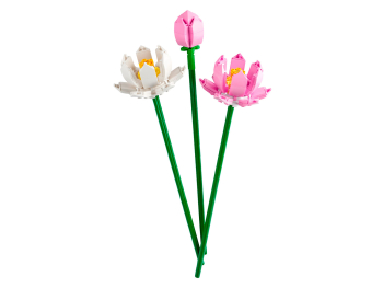 Сувенирный набор Цветы лотоса